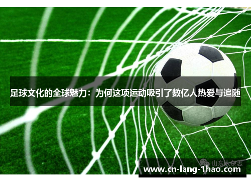 足球文化的全球魅力：为何这项运动吸引了数亿人热爱与追随