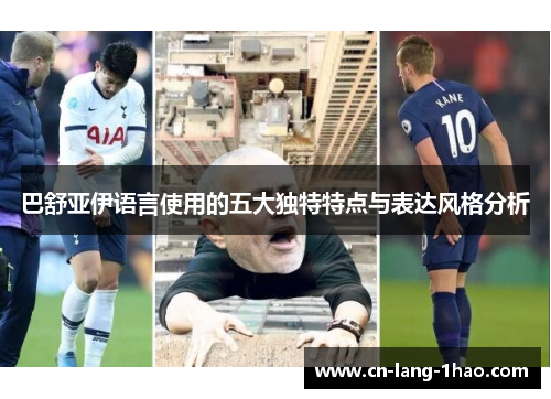 巴舒亚伊语言使用的五大独特特点与表达风格分析