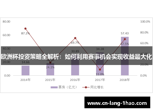欧洲杯投资策略全解析：如何利用赛事机会实现收益最大化