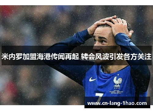 米内罗加盟海港传闻再起 转会风波引发各方关注